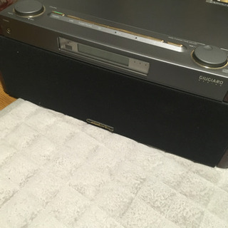 SONY celebrity D3000