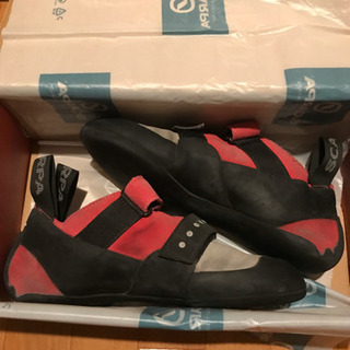 ボルダリング シューズの画像