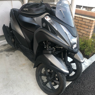 2019年 現行型 ヤマハ トリシティ 125 abs マットグ...