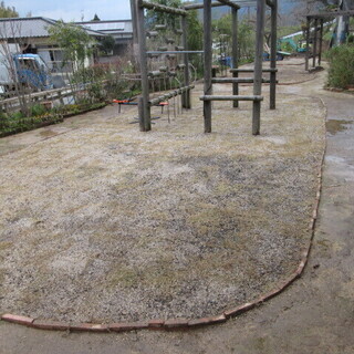 芝の張替え、福岡、便利屋、格安、綺麗、早い、 − 福岡県