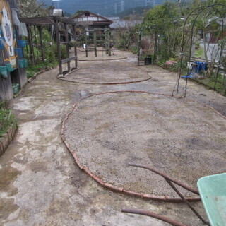 芝の張替え、福岡、便利屋、格安、綺麗、早い、 - 地元のお店