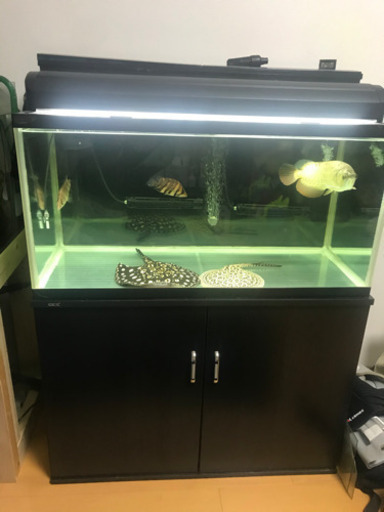 水槽 セット ガラス 90×45×45