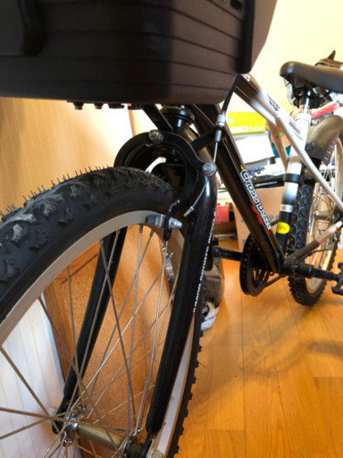 子供自転車(22インチ)