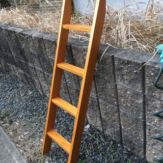 ハシゴ、使ってください。