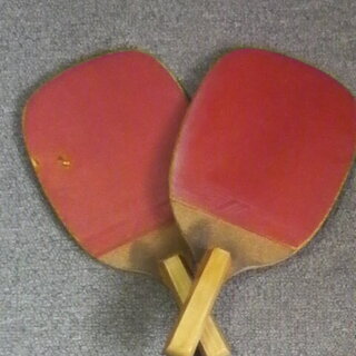 子供からお年寄りまでお家でファミリーピンポン🏓卓球ラケット、卓球...