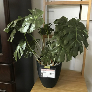 小物雑貨も入荷中！
