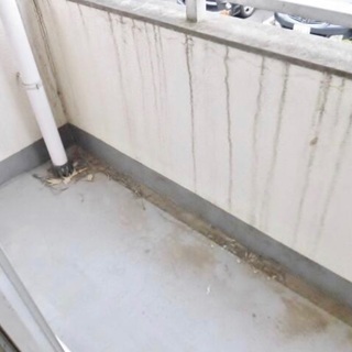 🆕🆙南林間駅6分♪【初期安物件掲載中】※新生活応援※休日限定掲載物件📳 - 賃貸（マンション/一戸建て）