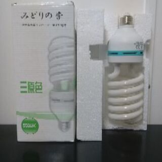 【値下げ交渉可能】みどりの季 5500K 1個1500円(6個在庫あり)の画像