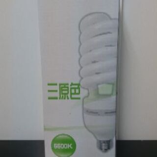 【値下げ交渉可能】みどりの季 5500K 1個2000円(3個在...
