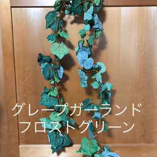 Asca/アスカ グレープガーランド フロストグリーン