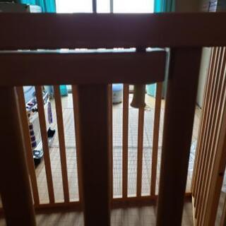 小型犬ゲージの画像