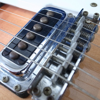 Ricken backer リッケンバッカー エレキギターの画像