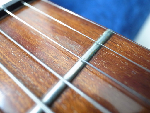 Ricken backer リッケンバッカー エレキギター