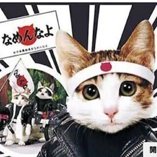 ⭐山形の昭和47年48年49年組(オプチャ)