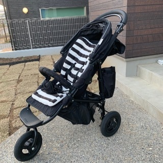 サバティカルアルニカ