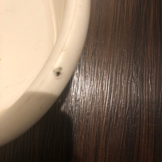 猫トイレの画像