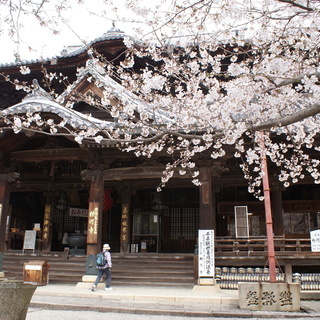 写真を撮りながらパワースポット巡り＆御朱印にご興味がある方。 - 京田辺市