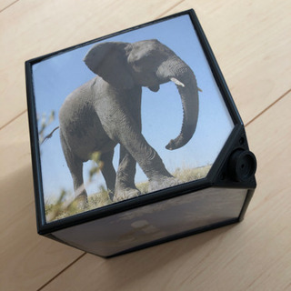 写真立ての画像