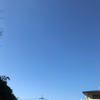 はじめまして☺️40代〜のお友達募集です(๑･̑◡･̑๑)