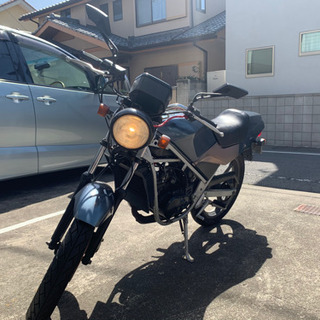 【商談中】SUZUKI ウルフ50 【希少2スト】の画像