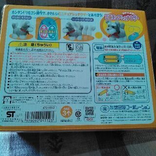 可愛いシュナウザーちゃんの画像