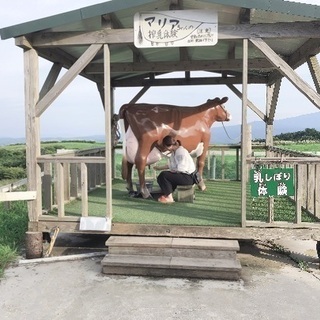 自然を見守り隊
