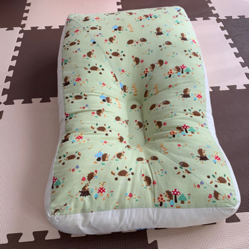 天使の寝床　程度良好　とこちゃん　青葉