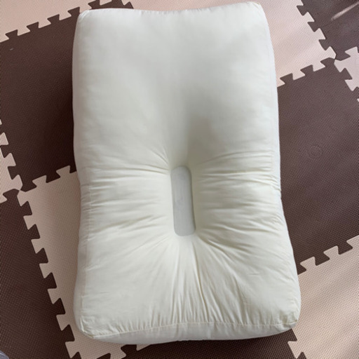 天使の寝床　程度良好　とこちゃん　青葉