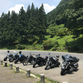 ツーリング　クラブ　メンバー募集　ハーレー