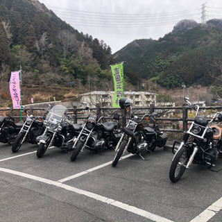 ツーリング　クラブ　メンバー募集　ハーレー - その他