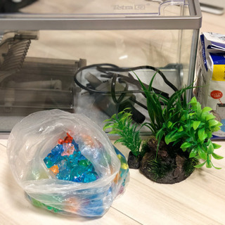 期間限定500円！　美品金魚飼育セット【付属品あり。】
