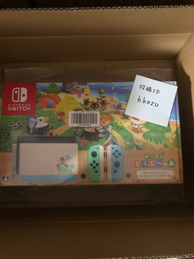 受付終了あつまれどうぶつの森セット２