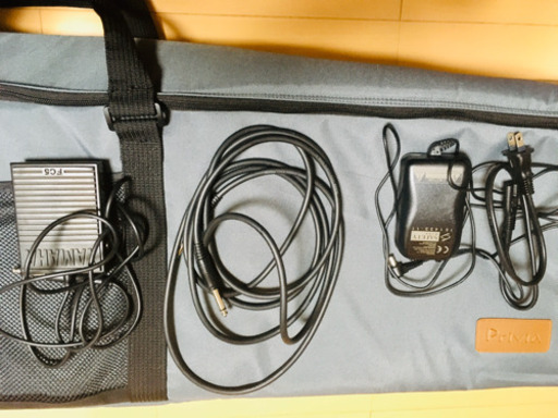 CASIO(カシオ) PX-5SWE