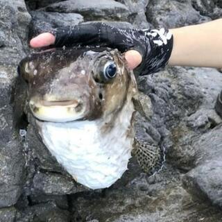 友達を作りたいと思ってます！ − 群馬県