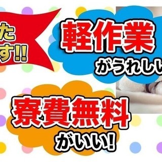 ≪寮無料・月収30万円・契約社員≫電子部品工場での軽作業 交替制 196059の画像