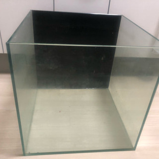 【明日まで 】オールガラス 水槽 45センチキューブ背面 カッテ...