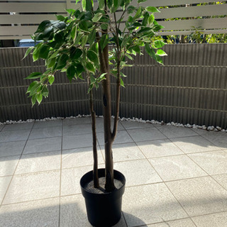 定価6千円 イケア IKEA フェイクグリーン フェイカ 観葉植物の画像