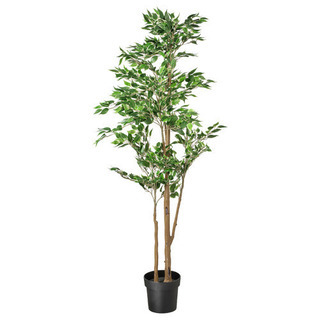 定価6千円 イケア IKEA フェイクグリーン フェイカ 観葉植物の画像