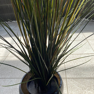定価5千円 イケア フェイクグリーン フェイカ グラス 鉢付き 観葉植物の画像