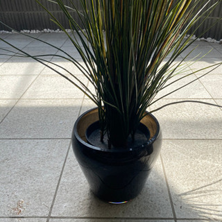 定価5千円 イケア フェイクグリーン フェイカ グラス 鉢付き 観葉植物の画像