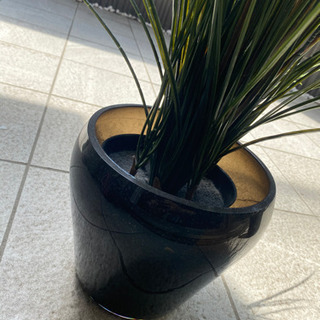 定価5千円 イケア フェイクグリーン フェイカ グラス 鉢付き 観葉植物の画像