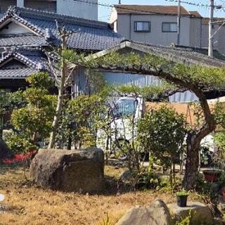  庭の剪定・伐採  草引き  消毒仕事   除草 