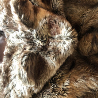 毛皮風コートの画像