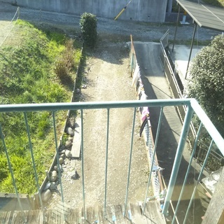 🆕🏚️多目的アパート/大分上野丘/費用0円/動物多頭飼い/事業用...