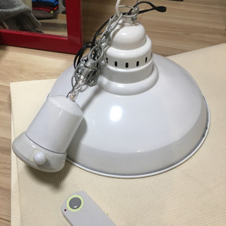 照明