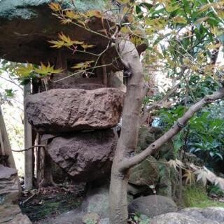 灯籠の画像