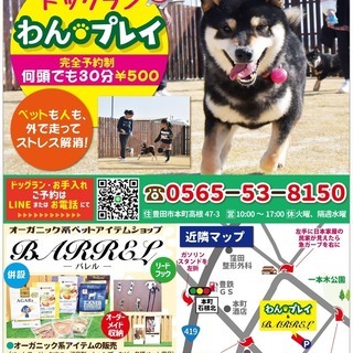 貸し切りドックランで思いっきり遊びませんか？