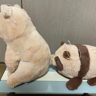 クマとたぬき　ぬいぐるみセットの画像