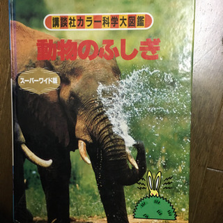 図鑑　フルセット　大量　まとめの画像