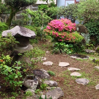 和風な庭園付き広い家
